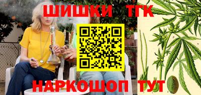 apvp Камышлов