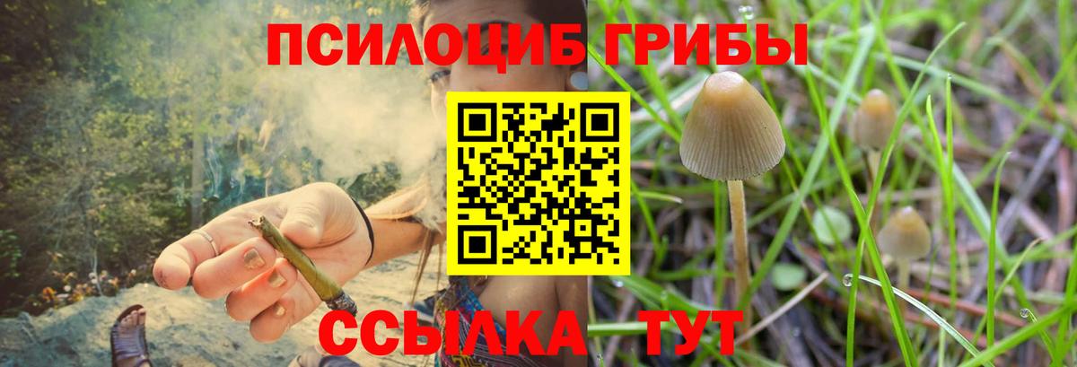 Псилоцибиновые грибы Psilocybine cubensis  Псилоцибиновые грибы MAGIC MUSHROOMS  Кизляр  Вход с VPN 