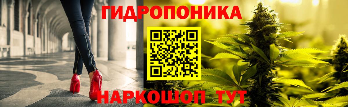 Конопля конопля Кизляр